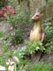 scuplture kangourou jardin