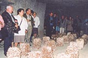 Cave des roches